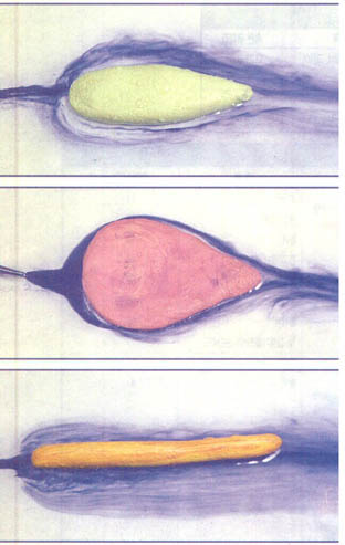 위로부터 방추형(참치), 구형(복어), 세장형(뱀장어). 와류 실험을 통해 물고기 모양이 속도에 영향을 미친다는 것을 알 수 있다.