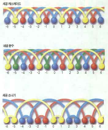 저글링 방법에 따른 공의 궤적