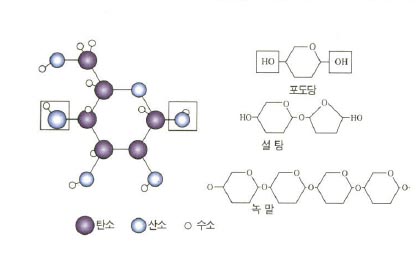 (그림2)여러가지 당의 화학구조