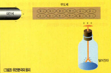 (그림3)유전분극의 원리