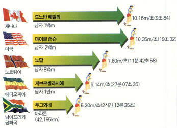 1996년 애틀란타 올림픽 결과