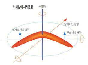 (그림2)루메랑이 다시 돌아오는 이유^회전축이 세차운동을 일으켜 되돌아 온다.