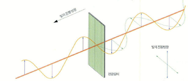 (그림2) 편광렌즈의 원리^그림 중 실선은 수직 진동 방향을 표시한 것으로 이들은 편광렌즈를 무사 통과한다. 그러나 수직에서 벗어난 방향(점선 표시)의 빛은 편광렌즈에 걸려 통과하지 못한다.