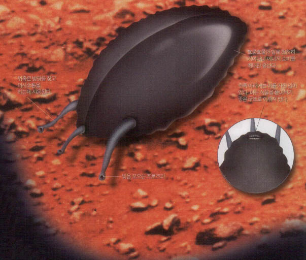 (그림2) 화성을 누비는 상상의 동물