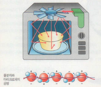 전자레인지^물 분자와 마이크로파의 공명