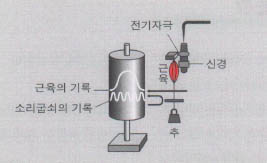 (그림1)근육의 일률을 묻는 문제