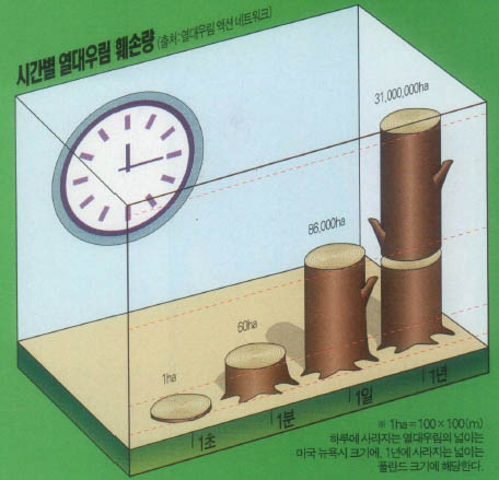 시간별 열대우림 훼손랸(출처:열대우림 액션 네트워크)