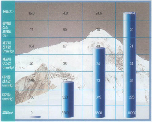 (표1)고산지대에 노출시 폐포가스농도와 동맥혈 포화도 및 대기온도(℃)