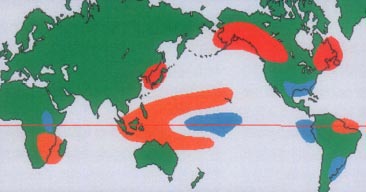 올겨울 세계 기후 예상도. 평년에 비해 따뜻하거나(붉은색) 건조한(주황색), 그리고 습한(푸른색) 지역이 표시돼 있다. 한국은 따뜻한 겨울으르 맞을 것이로 예상된다.