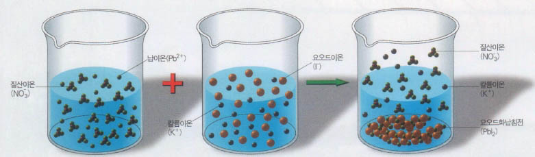 (그림1)질산납과 요오드화칼륨의 침전반응^질산납 수용액과 요오드화칼륨 수용액이 반응하면 요오드이온과 납이온이 강한 인력으로 결합해 침전을 만든다.