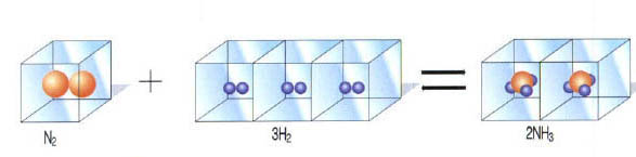 (그림2) 암모니아 합성반응의 분자모형^질소분자 2개와 수소분자 3개가 2개의 암모니아 분자를 합성한다.