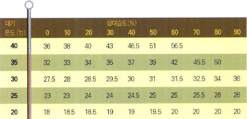 (표2)열지수^스티드먼이 고안한 열지수. 대기온도가 40℃일 때 상대습도가 0이면 36℃로 체감하지만, 상대습도가 50에 이르면 46.5℃로 체감한다. 원래 이 지수는 정상적인 생활양식을 고려해 만들어진 것으로, 특정한 기상요소와 또다른 기상요소가 결합할때의 전체적인 상태를 판정할 수 있는 척도를 제공한다는 점에서 유용하다.