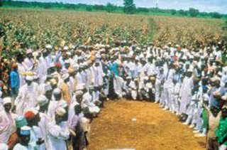 나이지리아의 신품종 옥수수 평가학에서(가운데 파란 옷을 입은 사람이 김순권박사)