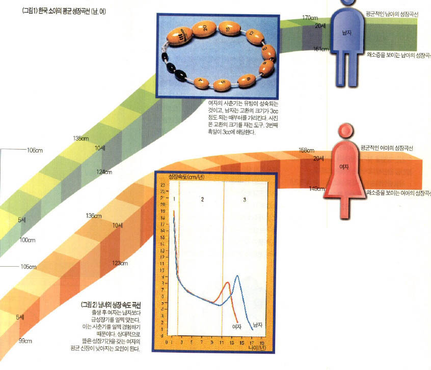한국 소아의 평균 성장곡선 및 남녀의 성장 속도 곡선