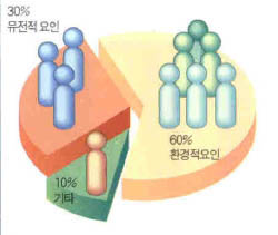 (그림2) 키를 결정하는 요인