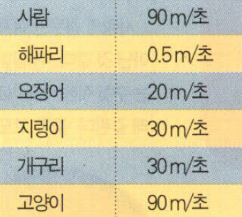 (표2) 각 동물의 신호 전달 속도