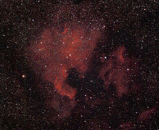 NGC 7000