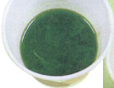 에탄올에 엽록소가 녹아 진한 녹색으로 변한다.