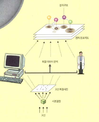 (그림3) X선을 이용한 단백질 분자구조 연구 과정 