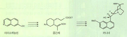 (그림1) 키니네 합성 경로