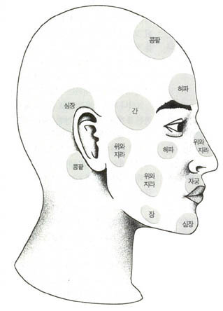 (그림1) 관상서에서 제시한 얼굴과 질병과의 관계