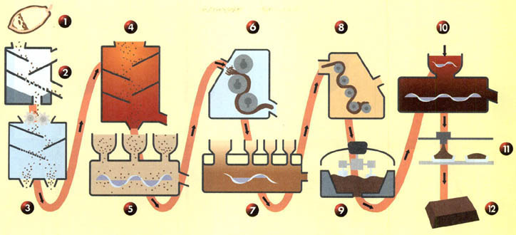 (그림1)초콜릿이 만들어지는 과정^카카오 콩이 카카오 가공품으로 만들어져 우리가 먹는 초콜릿이 되기까지의 과정을 그림으로 살펴본다.
