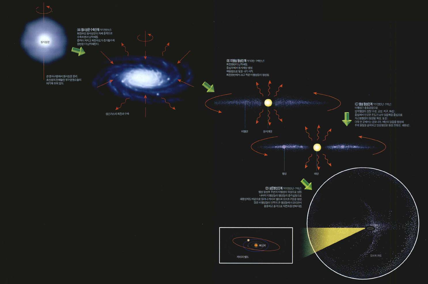 (그림2) 태양계의 형성과 구조^가스원반에서 태양과 함께 형성된 미행성들이 행성으로 성장했다. 중심에서 떨어진 거리에 따라 온도가 달라져 암석행성, 가스행성, 얼음행성이 다르게 형성됐다. 성장하지 못한 미행성들이 외곽으로 밀려나 카이퍼벨트와 오르트 구름을 만드는 것으로 생각된다.