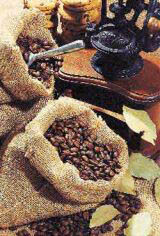 커피는 항이뇨호르몬 분비를 억제해 소변을 많이 만들도록 한다.