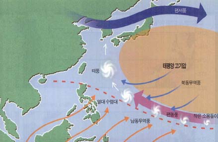 (그림1) 태풍발생 모식도^열대 해역에서 발달한 저기압이 편동풍을 따라 고위도로 올라오면서 세력을 확장해 태풍이 된다.