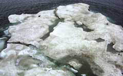 가깡이에서 촬영한 갈색의 북극 해빙들.