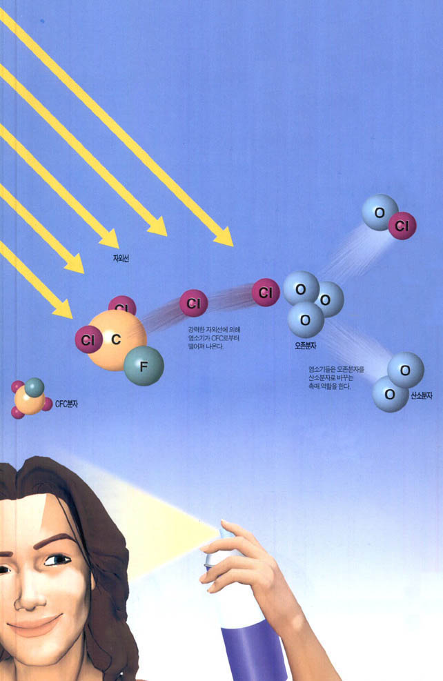 (그림1) CFC가 오존층을 파괴하는 메커니즘^프레온 가스로 알려진 CFC는 매우 안정된 물질로 오존층까지 올라간다. 하지만 오존층에 도달하는 강력한 자외선에는 견디지 못하고 분해된다. 이때 CFC로부터 떨어져나온 염소기가 오존층의 오존분자들을 산소분자로 분해시키는 촉매역할을 한다.