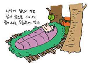 일교차가 큰 아마존에서 자는 법