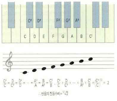 (그림2)평균율^서양음악에서는 1옥타브 사이에 12음이 들어있다.이것을 평균율이라고 한다.평균율에서는 1옥타브를 반음씩 12등분 했기 때문에 반음에 해당하는 진동수비가 같다.