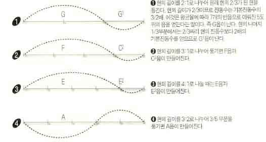 (그림3)현에서 만들어지는 다양한 음정^기본진동수가 다(C)음인 현에서는 G,G¹,F,C²,E,E²,A등 다양한 음정이 만들어진다.