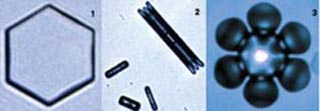 (왼) -15℃ 습도가 낮을 때 형성되는 눈 결정. 단순한 6각 판모양이다. (가운데) -5℃ 습도가 높을 때 형성되는 눈 결정. 바늘모양이나 기둥모양이다. (오) 녹는점에 가까운 온도인 -2℃에서 성장한 눈 결정은 각이 둥글다.