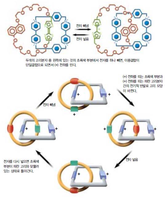 (그림 4) 분자 스위치 