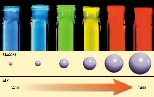 카드뮴과 셀렌으로 구성된 수nm 크기의 반도체 나노입자는 크기에 따라 색깔이 다르다. 색깔이 물질 고유의 특성이라는 기존의 과학상식에 벗어나는 일이다.