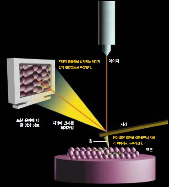 (그림2) 원자력현미경(AFM)의 원리^1nm보다 작은 크기의 표면 윤곽에 대한 정보를 얻기 위해서는 AFM을 이용한다.
