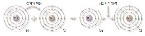 (그림2) Na+와 Cl-의 결합^Na에서 전자 하나가 Cl로 이동하면 각각 Na+와 Cl-가 되고, 두이온 사이에 전기력이 작용해 소금(NaCl)이 된다.