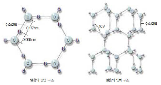 (그림3) H2O 분자들 사이의 수소결합^물분자 사이에는 나타나는 분자간력을 수소결합이라고 한다. 수소결합은 분자간력 중 가장 크다. 또 수소결합으로 인해 얼음결정이 생긴다.
