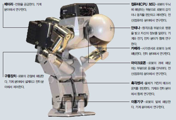 (그림) 로봇의 부위와 연구 분야^로봇은 사람처럼 주위 환경의 정보 를 받아들이고 이런 상황에서 자기 가 해야할 일을 선택해 움직이게 된 다. 따라서 로봇에는 각종 감각센 서, 인공두뇌(컴퓨터), 구동장치, 동력장치 등이 필요하다. 이런 장치들을 갖추기 위해서는 한 분야의 연구만으로 부족하고 기계 전자 전기 전산(컴퓨터) 분야 등 여 러 분야의 공동 연구가 이뤄져야 한 다. 사진의 모델은 지난해 11월 첫 선을 보인 일본 소니 사의 SDR-3X.