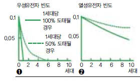 (그림3) 우성 형질이 생존에 불리한 경우 우성 유전자 는 그 집단에서 급속도로 줄어든다(1). 반면 열성 형질 이 생존에 불리한 경우 열성 유전자는 어느 정도 이하 로 줄어들기 힘들다(2). 왜냐하면 우성 유전자와 붙어 있는 경우(Aa) 열성 유전자는 드러나지 않고 살아남아 자손에게 전해질 것이기 때문이다.