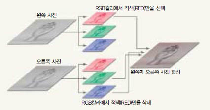 (그림2) 애너글리프 사진 변환과정^두장의 사진을 포토샵이나 애너글리프용 소프트웨어를 이용해 한장의 애너글리프 사진으로 합성한다.