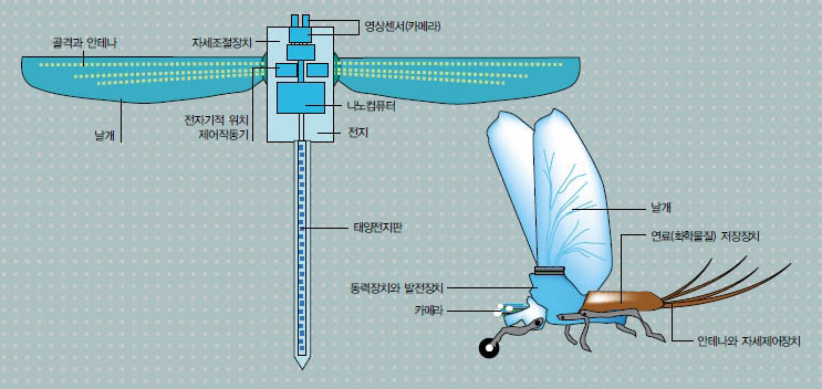 (그림) 오니솝터형 초소형 항공기의 개념도^곤충처럼 날개를 펄럭이는 오니솝터형 초소형 항공기는 고정날개형보다 3배 정도의 동력을 필요로 한다. 이는 날개를 펄럭이는 왕복운동을 하는데 운동에너지 손실이 많기 때문이다. 따라서 이런 초소형 항공기 개발은 10년 후에나 가능할 것으로 보인다.