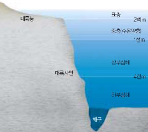 대륙붕 지역^대륙이나 섬 주변에 있는 수심이 얕고(수심 1백-2백m) 경사가 완만한 해저.영양물질이 풍부해 많은 바다 생물이 살기 때문에 좋은 어장을 형성한다.표층과 수온약층^상대적으로 따뜻하고 잘 혼합되는 수심 2백m 이내의 해양 부위를 표층이라 한다.수온약층은 표층 바로 아래 수심 2백-1천m에 존재하는 지역으로 수온이 급격히 감소하는 층이다.