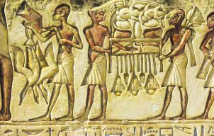 이집트 사카라 피라미드의 인근 무 덤에서 발견된 3천3백여년 전의 음각 벽화. 이집트인들이 신에게 제물을 바치는 모습이 그려져 있다. 피라미드를 건설하던 이들 에게도 나름대로의 삶이 있었다는 증거가 최근 발견됐다.