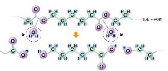(그림1) 생분해성 고분자가 분해되는 원리