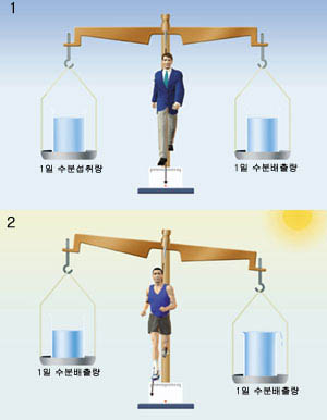 평상시와 운동중의 수분변화^평상시(1)에는 음료와 식품, 그리고 체내 대사를 통해 섭취 된 수분이 소변과 호흡, 그리고 피부를 통해 빠져나가 균형을 이 룬다. 반면 운동중(2)에는 땀을 통해 많은 양의 수분이 빠져나 가 탈수현상이 나타난다.