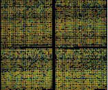 DNA칩 사진. 유전자의 기능 에서 유전병의 진단까지 DNA칩의 응용분야는 무궁무 진하다.