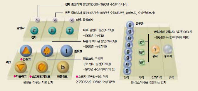 입자 발견과 노벨상 